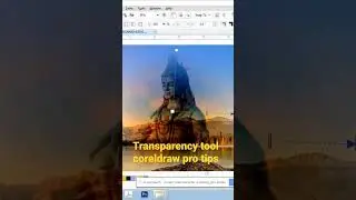 transparency tool coreldraw pro tips