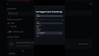 Streamlit basic app User form
