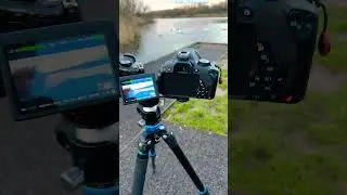 Battle of the hacks! #photography #lumix #canoncamera #canont4i #cropmood