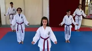 Training /Taekwondo ITF Team Pattern Chon-ji Tul