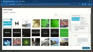 Customize Register issu not logo show  and  upoloda     wordpress theme development part  04