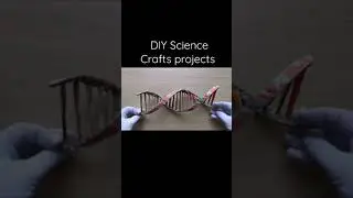 DIY cardboard DNA Model Project | School projects | lock down activity