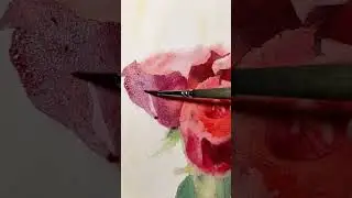 Акварель. Розы.