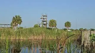 Seve's Island