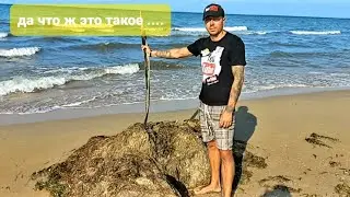 Anapa August, When Will the City Clean Up the Algae? / Vityazevo Now 2023