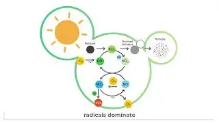 RADICAL - An electronic sensor to detect atmospheric radicals