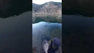 5lbs braid+ 5lbs leader+ 2” Lucky craft bevy pointer = dancing with trout
