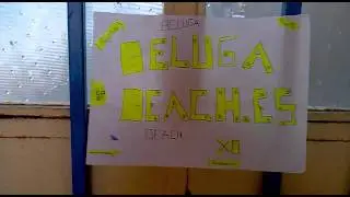 Belugabeach en la calle!