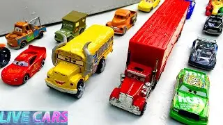 Looking For Disney Pixar Cars,Lightning McQueen,Mack,Sally Carrera, Tow mater,Francesco