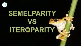 Semelparity vs Iteroparity | EvolutionExamples