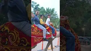 Hamne ki anokhi Camel Riding 🐫 #shorts #yt #trending #viral
