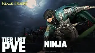 NINJA TIER LIST PVE BDO