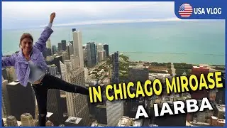 ÎN CHICAGO MIROASE A IARBA 🍁| USA Vlog #22