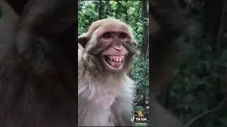 I really challenge you too watch