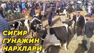 Сигир ғунажин нархлари
