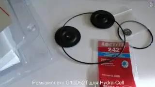 Ремкомплект к насосу Hydra Cell D10 и G10