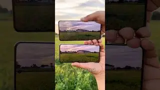 Realme 12 pro Vs Realme 12 pro plus Camera Test 📷 