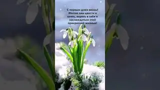 С Весной нас!