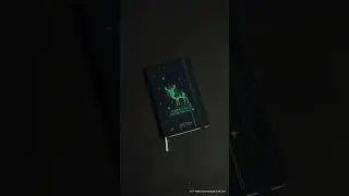 Harry Potter Spells Collection by Moleskine