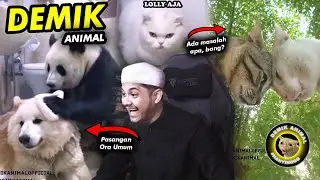 MAKIN HARI MAKIN KOCAK AJA INI HEWAN2🗿🗿🗿Reaction Demik Animal