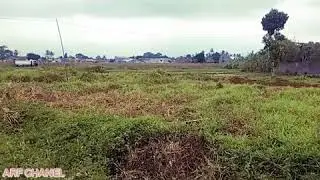 detik-detik baktruk terangkat