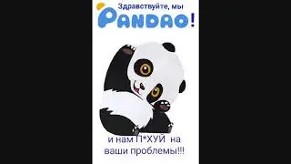Пандао кинули на деньги! Результаты спора на Pandao