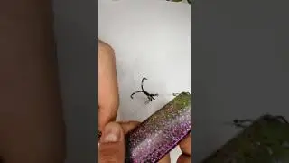 Оснащение силиконовой приманки. Монтаж Стингером