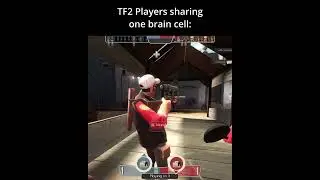 TF2 players sharing one brain cell: