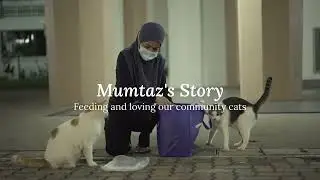 A Community Cat Feeder's Story - Mumtaz