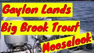 (June 24, 2023) Gaylon Lands Big Brook Trout at the Last Minute