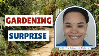 How To Increase Your Garden Yield