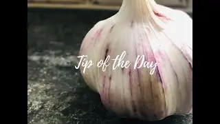 Dish With Trish: Garlic (T.O.D.)