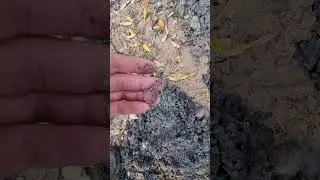 Коп на советском пляже