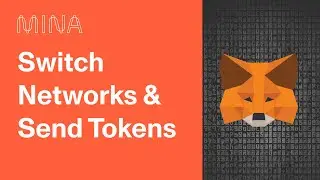 How to Switch Networks and Send Tokens with MetaMask MinaPortal