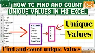 How to Find and count unique Values in Ms Excel | Find and Count unique Values in Ms Excel