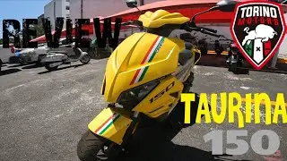🛵 A real beauty 🛵 | #taurina150 | #torinosmotors | #zankumotovlogs