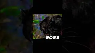 2023 cat 😺 vs 5000 bce cat 💥 #viral  #shorts