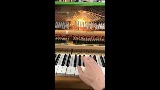 So I bought this electric piano from WISH