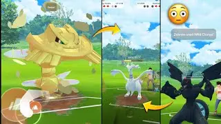 Omg! 😱 Only 1758 cp mega steelix beat *Reshiram & Zekrom* | unbelievable 😲