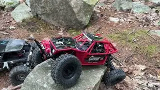 Axial Capra 1 9 In The Wild