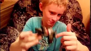 Кукурузник | Магазин 