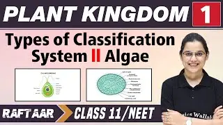 Plant and Kingdom 01 | Types of Classification System | Algea | Class 11/NEET