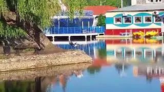 Аисты в Юбилейном парке Россошь // rossoshru.ru