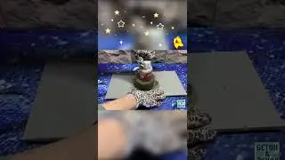 Спил дерева из бетона  