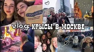 vlog Москва || Крысы приехали покорять столицу