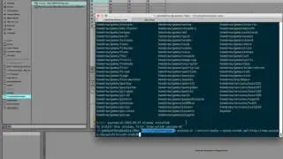 Quick and Easy Sampling From Youtube (OSX )