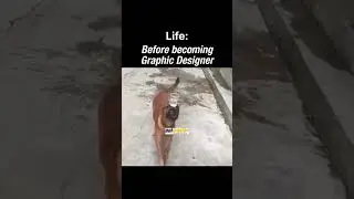 Before vs After Learning Graphic Design | Graphic Design Institute in Bangalore