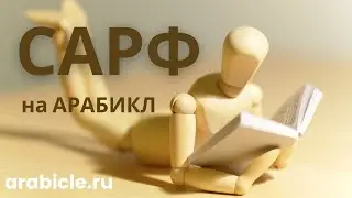 САРФ НА АРАБИКЛ | ЛЕГКИЙ САРФ
