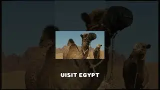 تعليم المونتاج الاحترافي للمبتدئين في ساعة واحدة (لينك الفيديو بالوصف)
