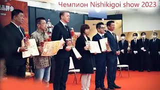 Александр Ромащенко чемпион Nishikigoi show 2023 в Японии